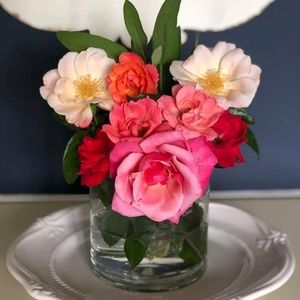 Meet your Posher, Henrietta